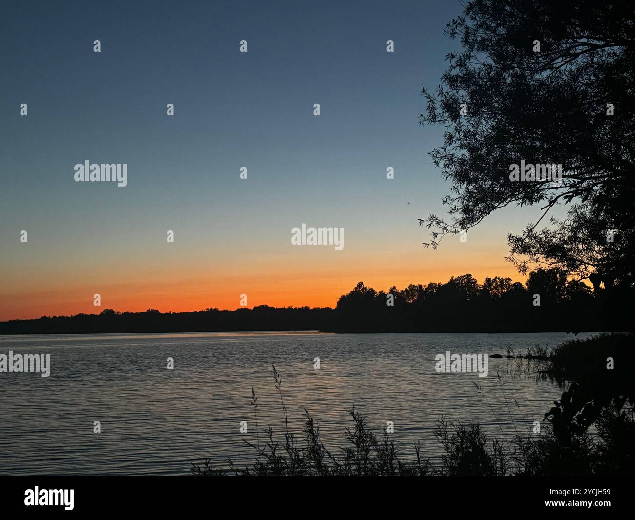 A tranquil sunset over the lake, with vibrant hues painting the sky and a tree silhouette adding depth to the serene landscape. A summer evening click. - Smartphone Captured Stock Image