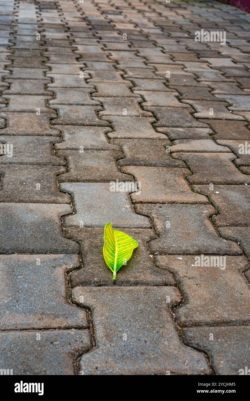 Pavers design hi-res stock photography and images - Alamy