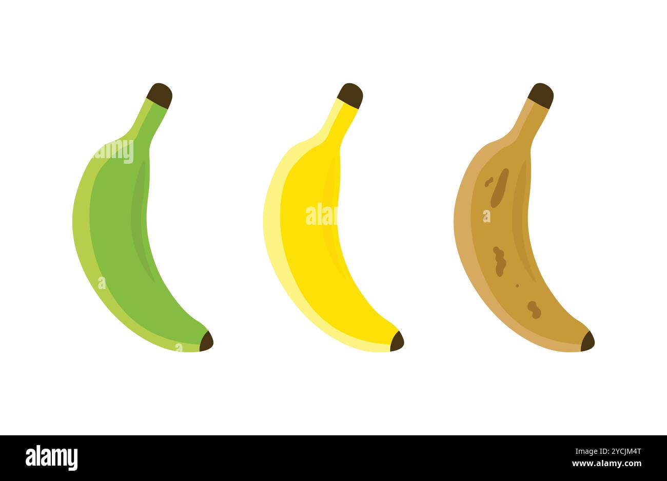 Illustration of three bananas at different stages of ripeness green, yellow, and brown. Stock Vector