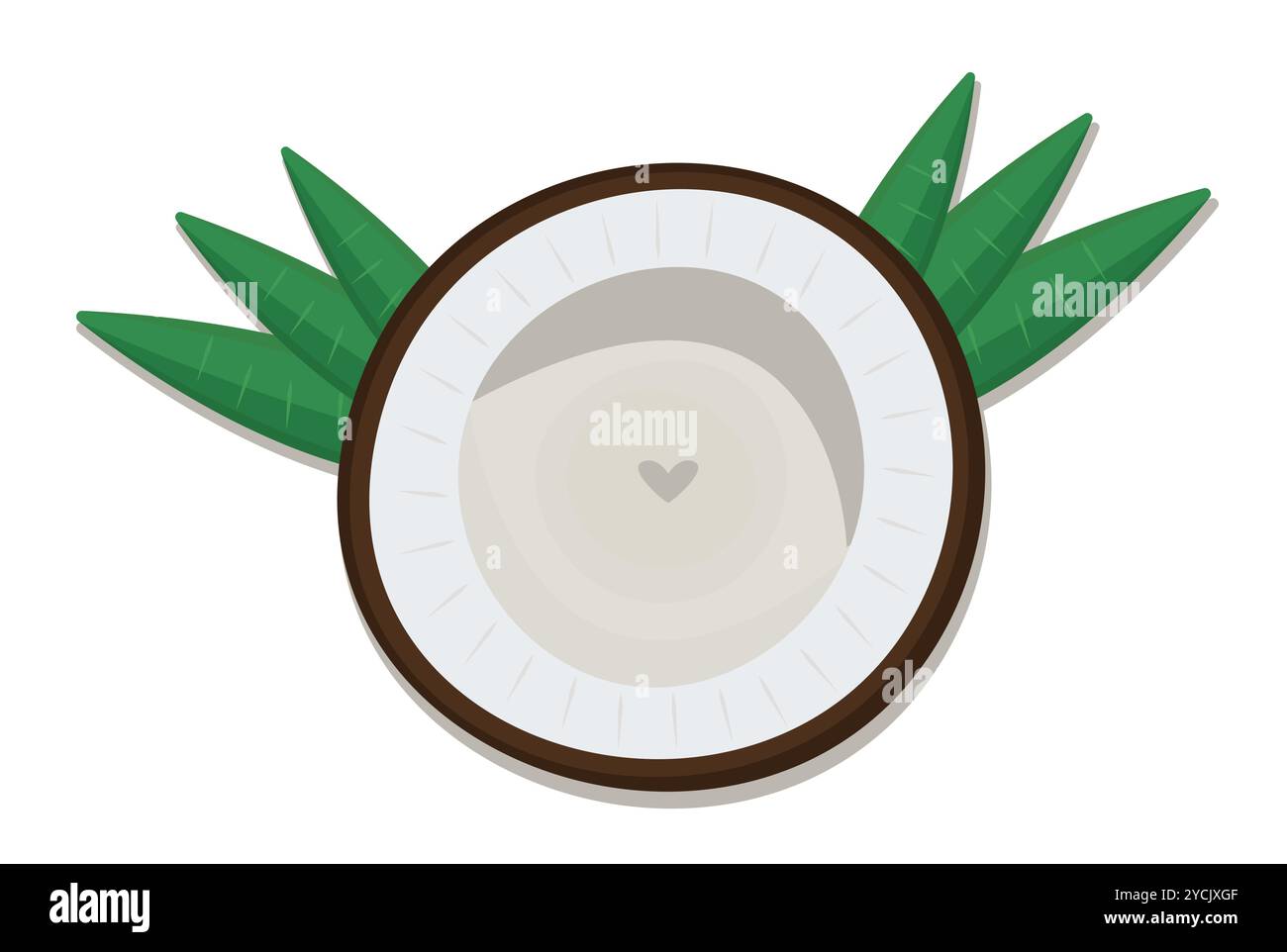 Coconut half with palm leaves, view from above, love to nuts, vector color illustration Stock Vector