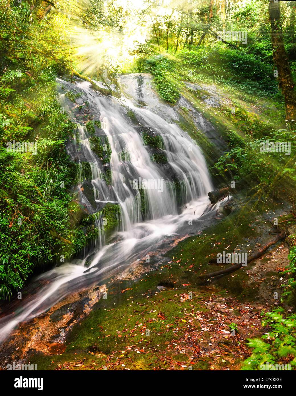 Small waterfall, hidden in tropical rain forest. Thailand Stock Photo