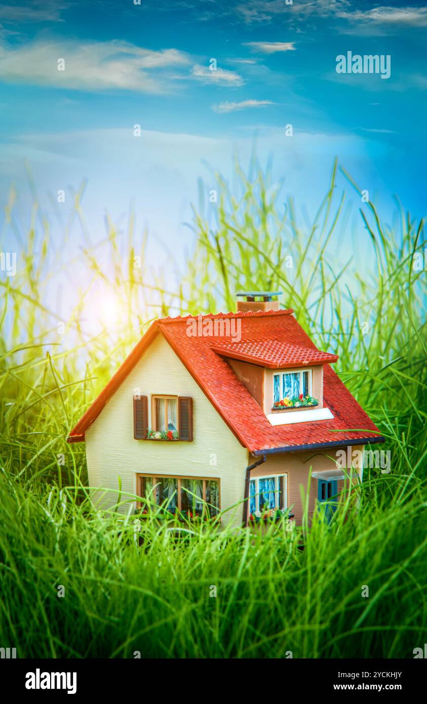 House on the green grass Stock Photo - Alamy