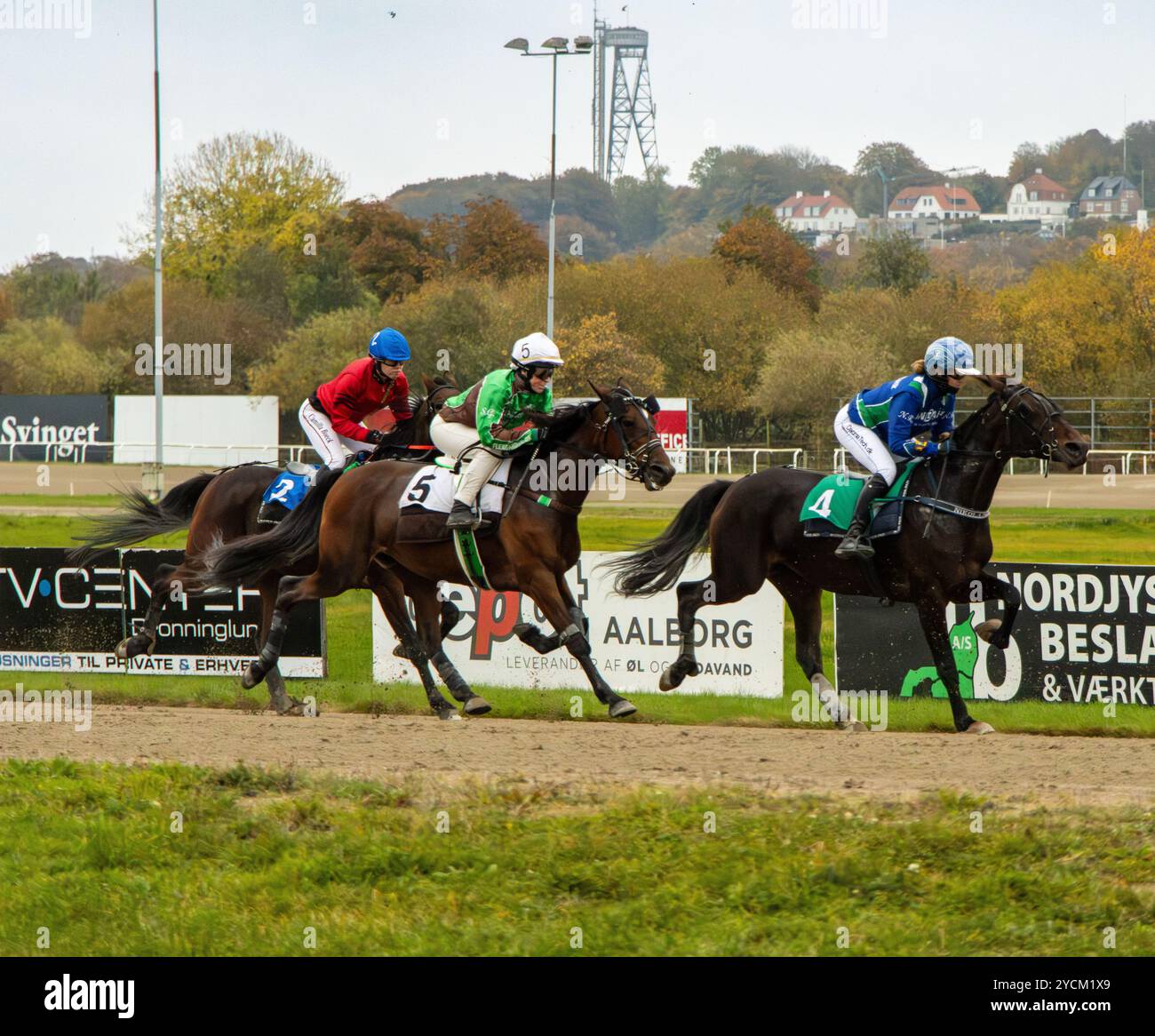 monté horse race from northern jutland, Denmark Stock Photo