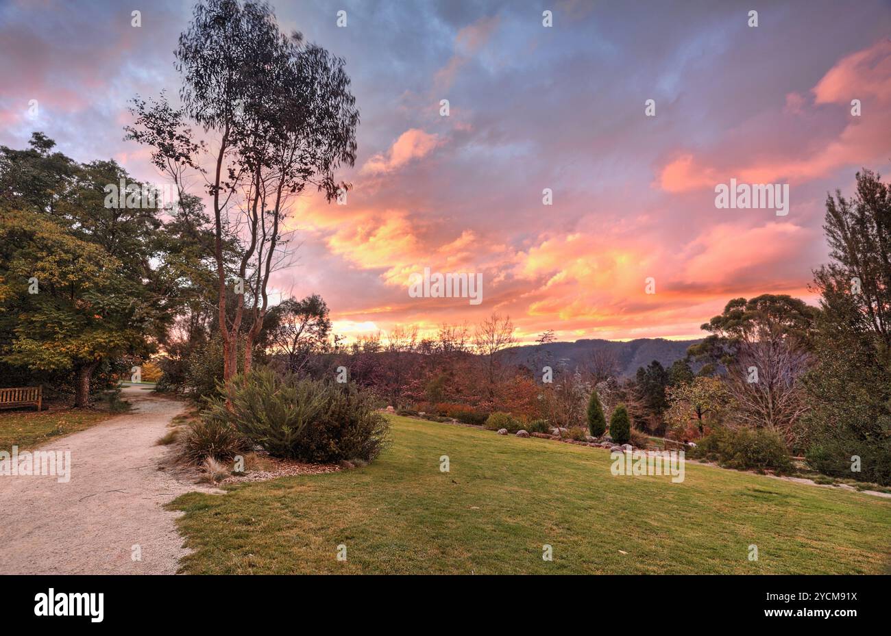 Blue mountains nsw autumn hi-res stock photography and images - Alamy