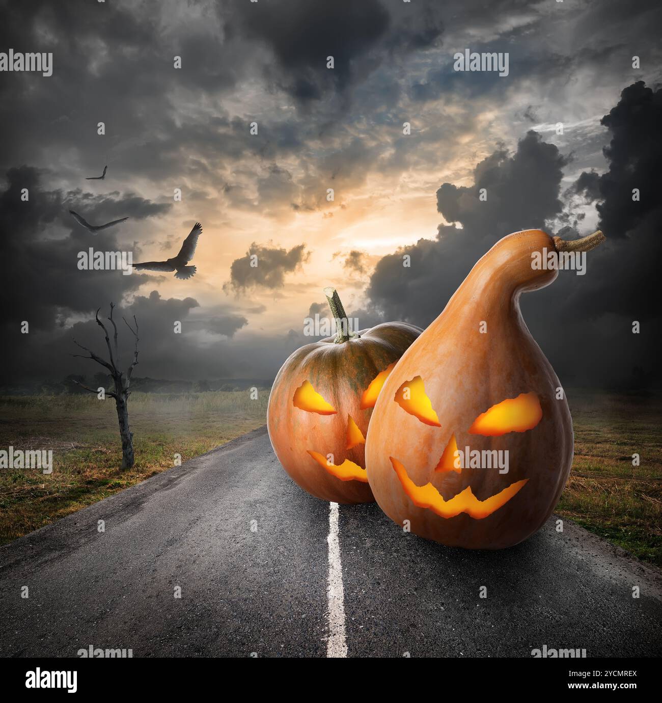 Bird pumpkins hi-res stock photography and images - Alamy