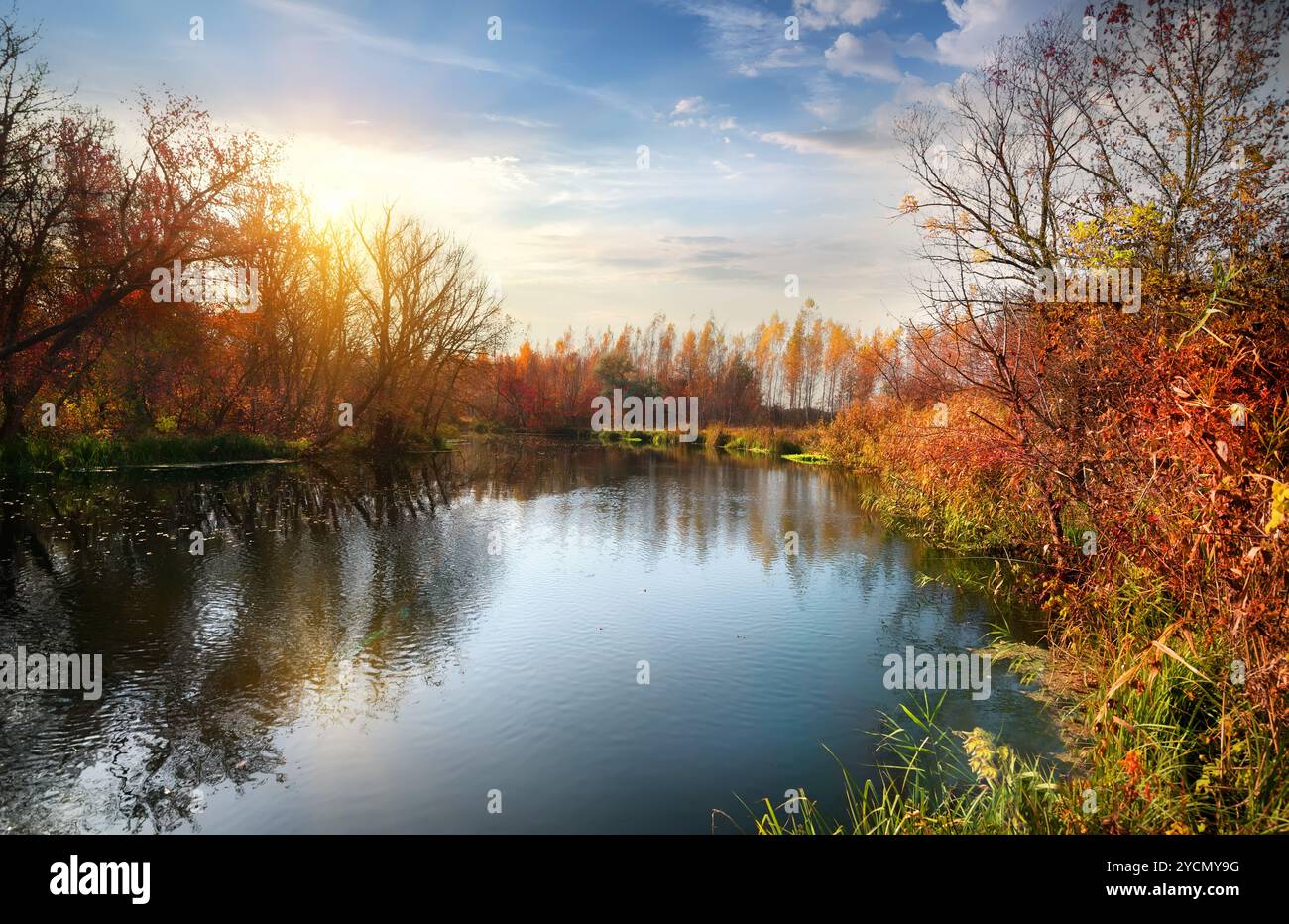 Outdoor nature sunlight on river hi-res stock photography and images ...