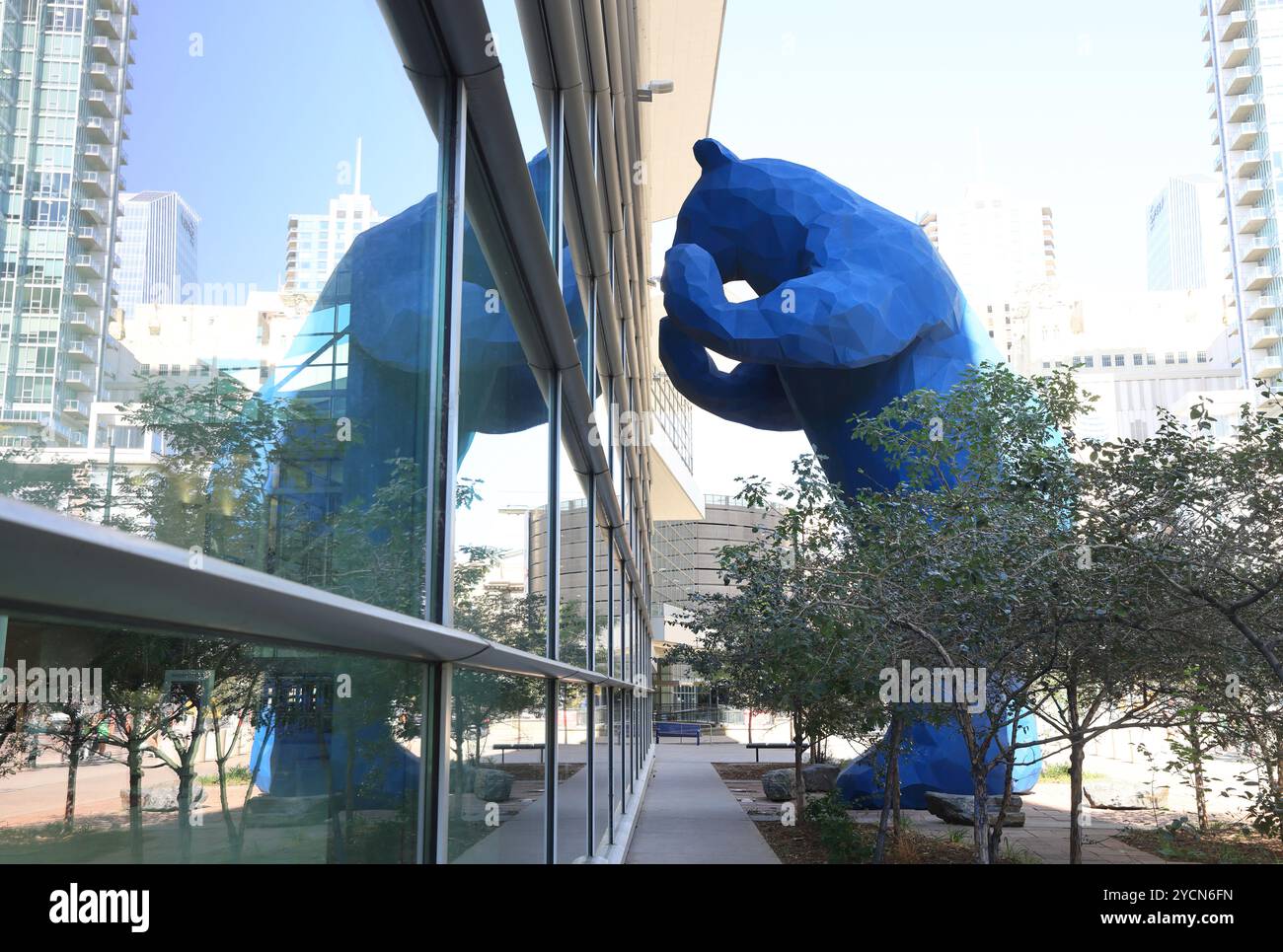 Denver's Big Blue Bear statue, 'I See What You Mean', iconic artwork standing peering into the Denver Convention Center. Stock Photo