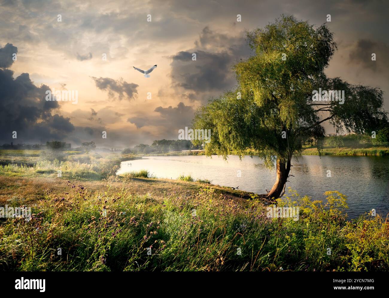 Willow river water hi-res stock photography and images - Alamy