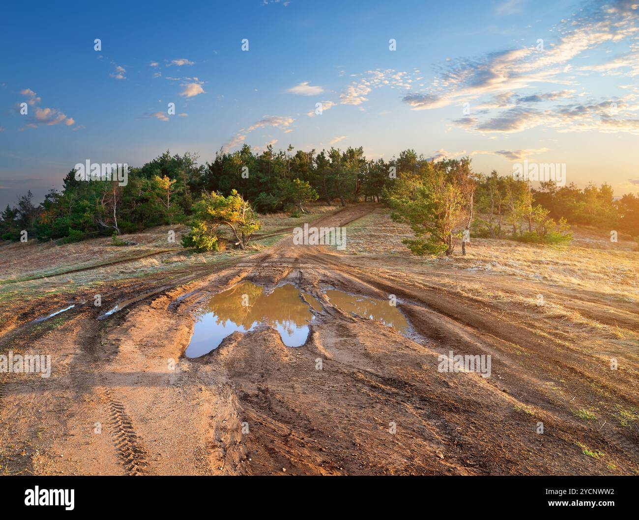 Puddle view hi-res stock photography and images - Alamy