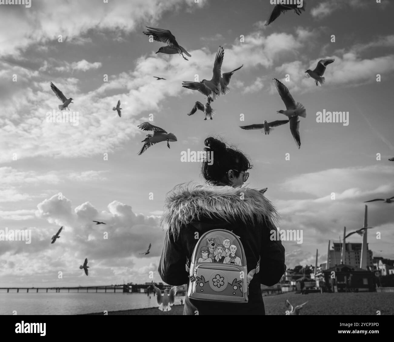 A black and white image of a tourist feeding the gulls on the beach in Southend. Stock Photo