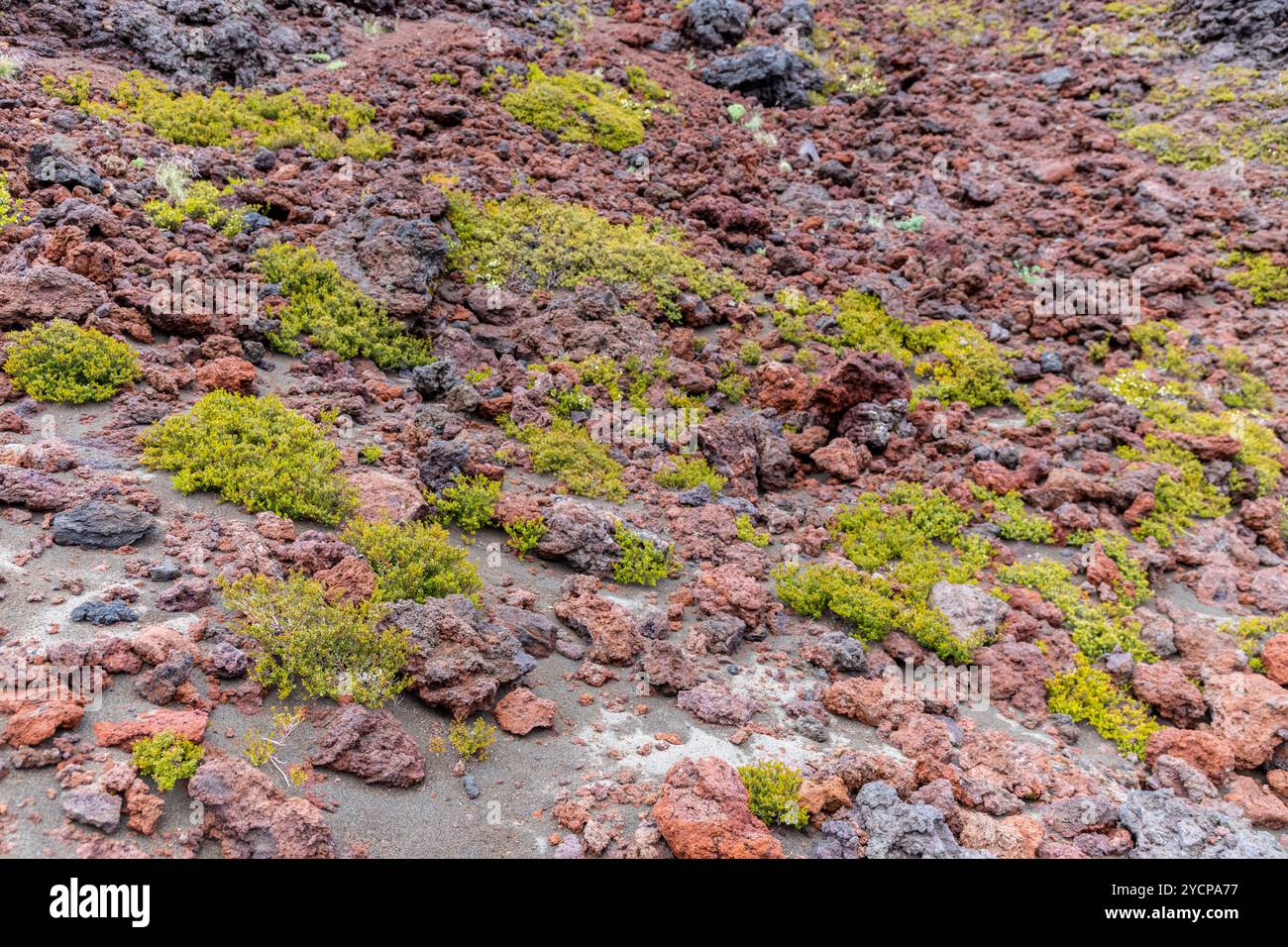 Spell Volcano Rocks Osorno volcano in Chile. The ring of Fire volcano crater and lava on ...