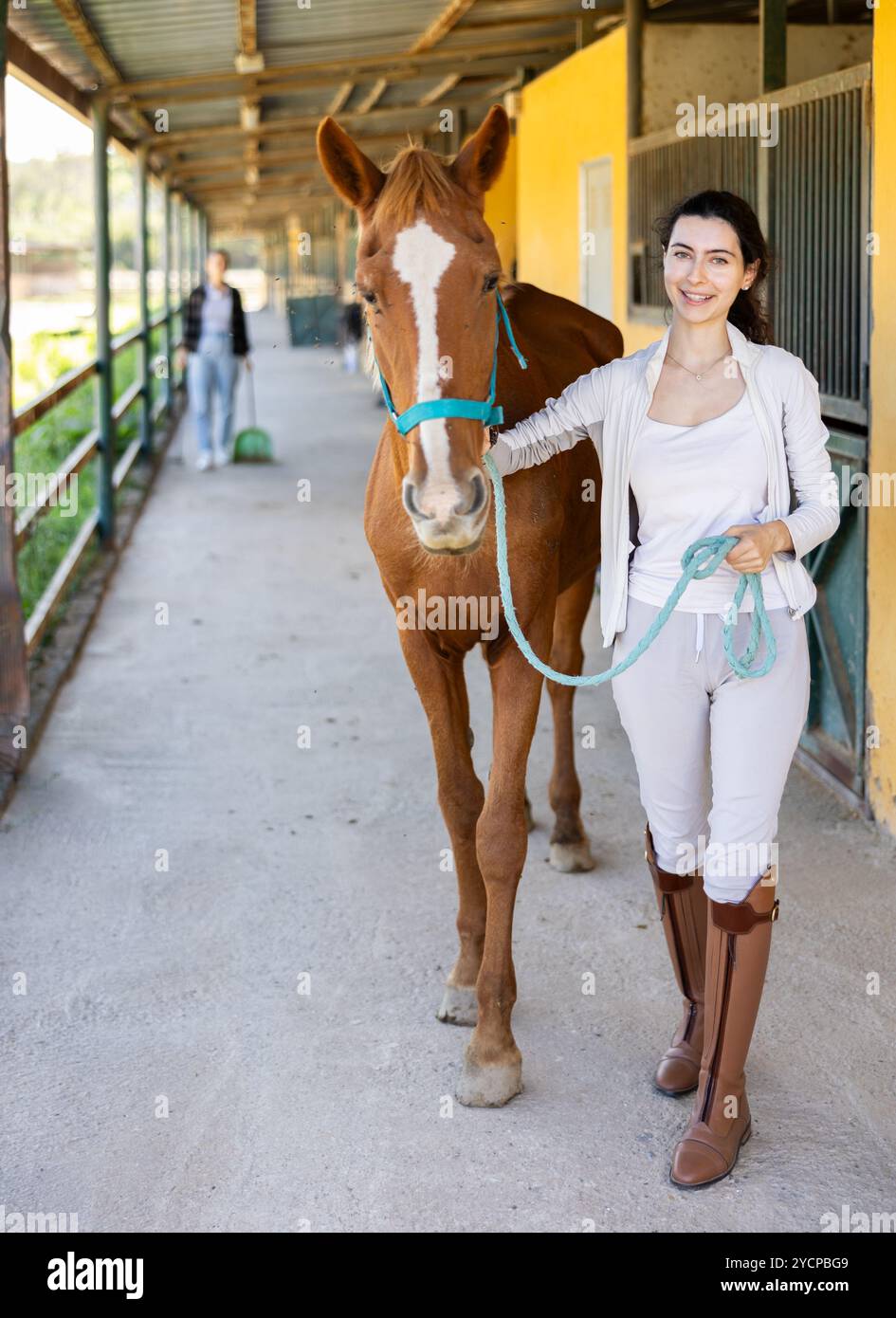 Lead horse out of the stable hi-res stock photography and images - Alamy