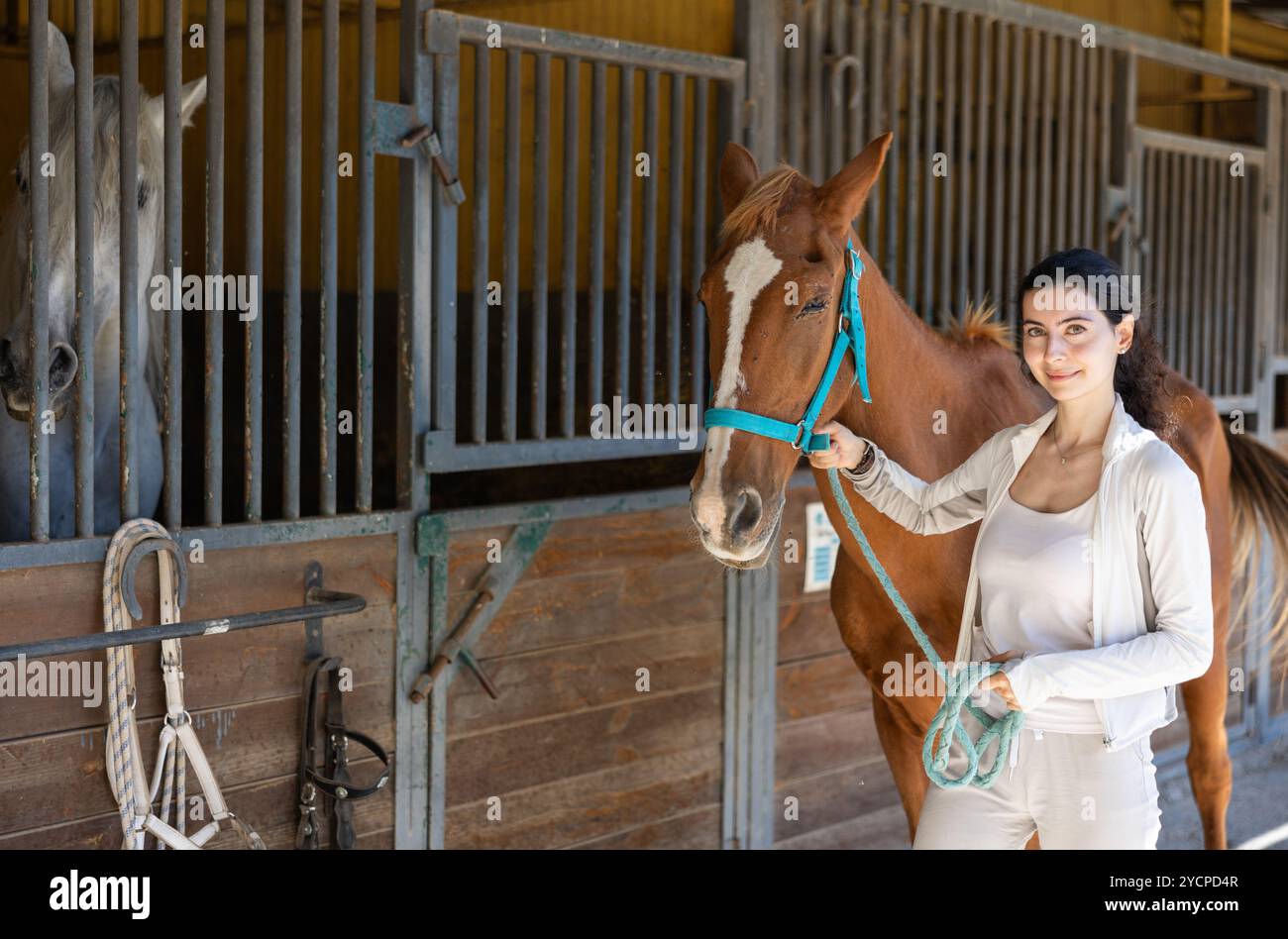 Young woman leads horse out of stable Stock Photo - Alamy