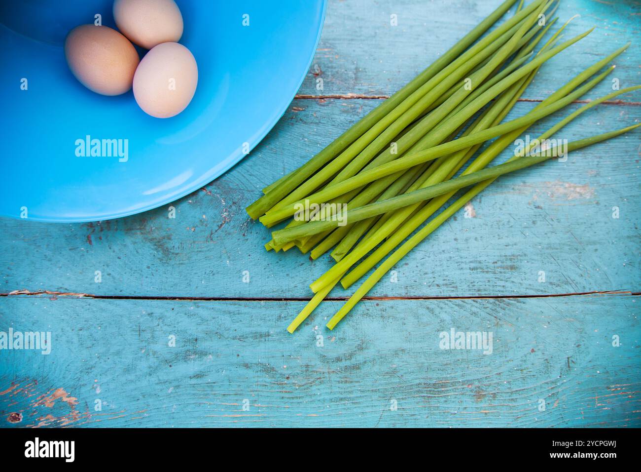Green blue eggs hi-res stock photography and images - Alamy