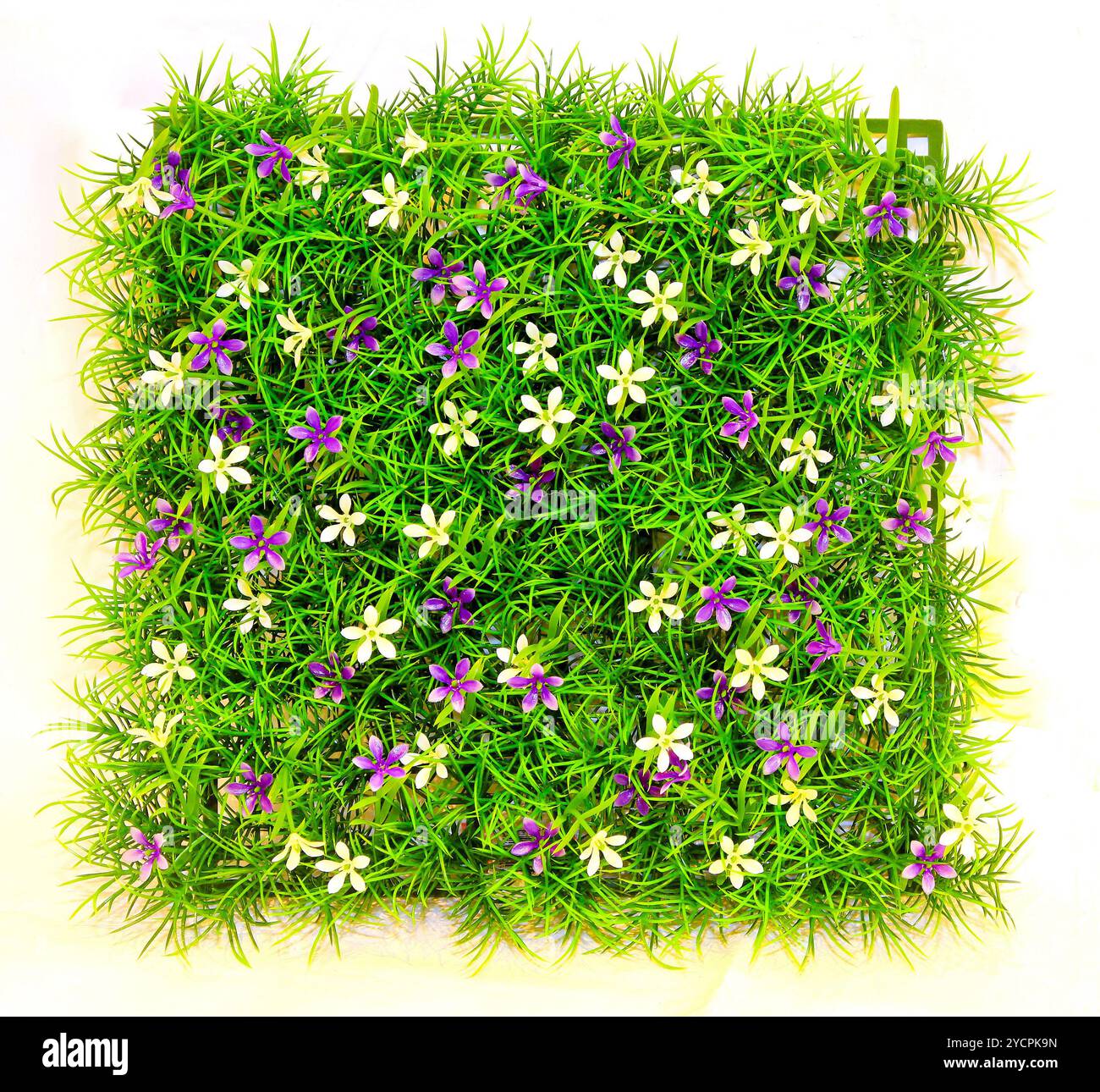 Small green grass pattern hi-res stock photography and images - Alamy