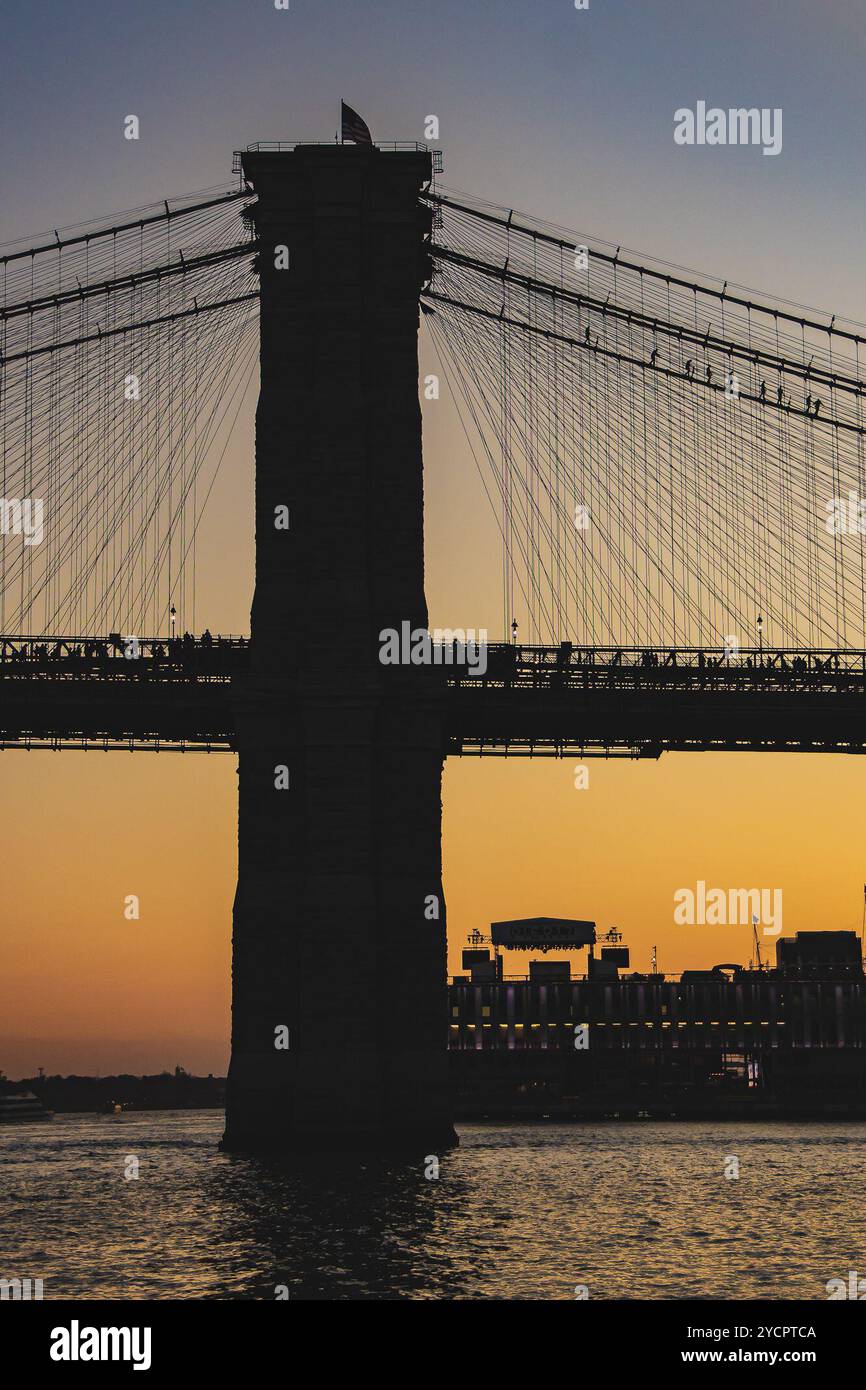 Juscelino Kubitschek Bridge (2026) - All You Need to Know BEFORE You Go  (with Reviews), image size:866x1390