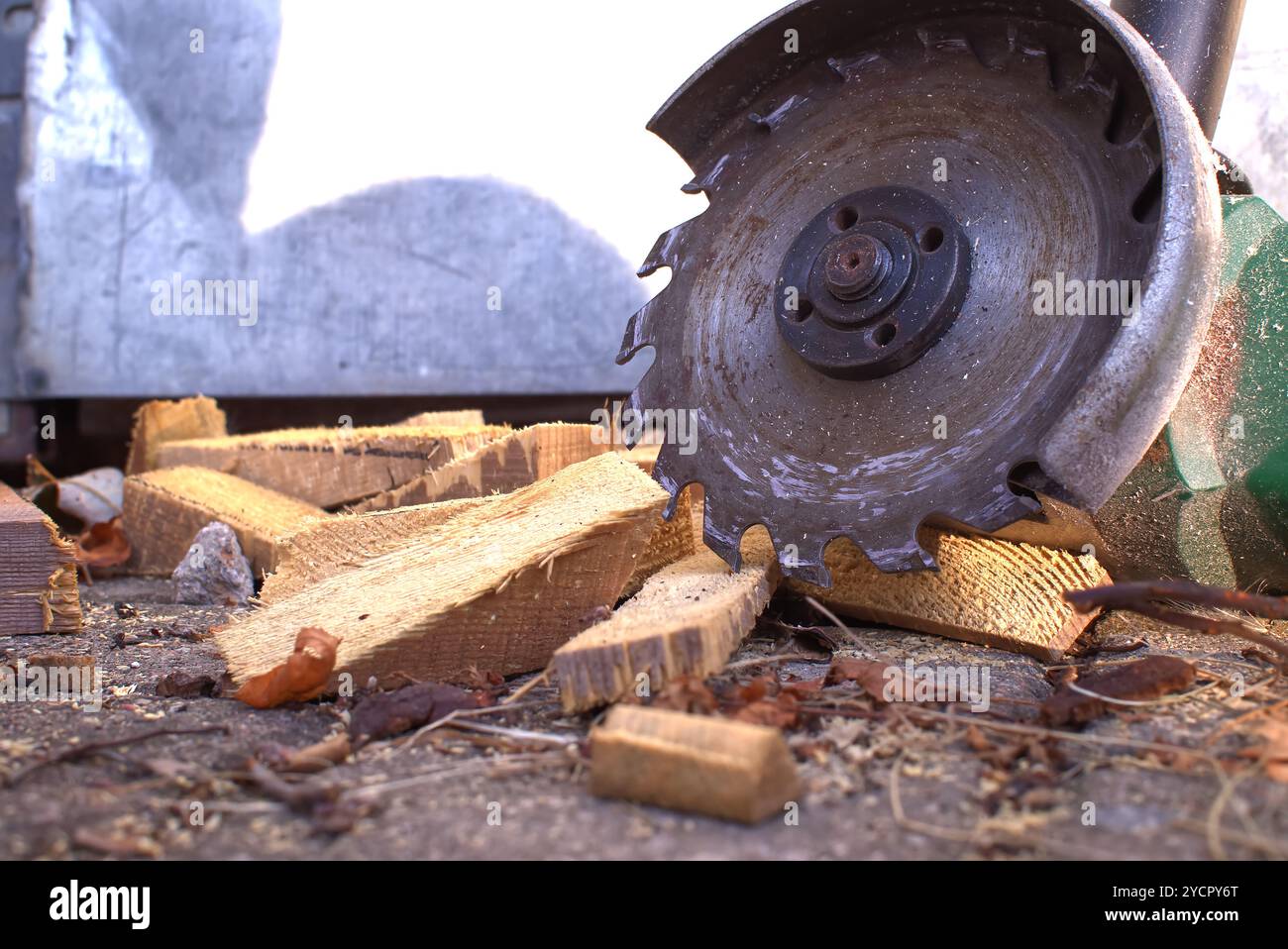 Cutter Blade Rusted Close-up of a rusted circular saw blade slicing through wooden logs ...