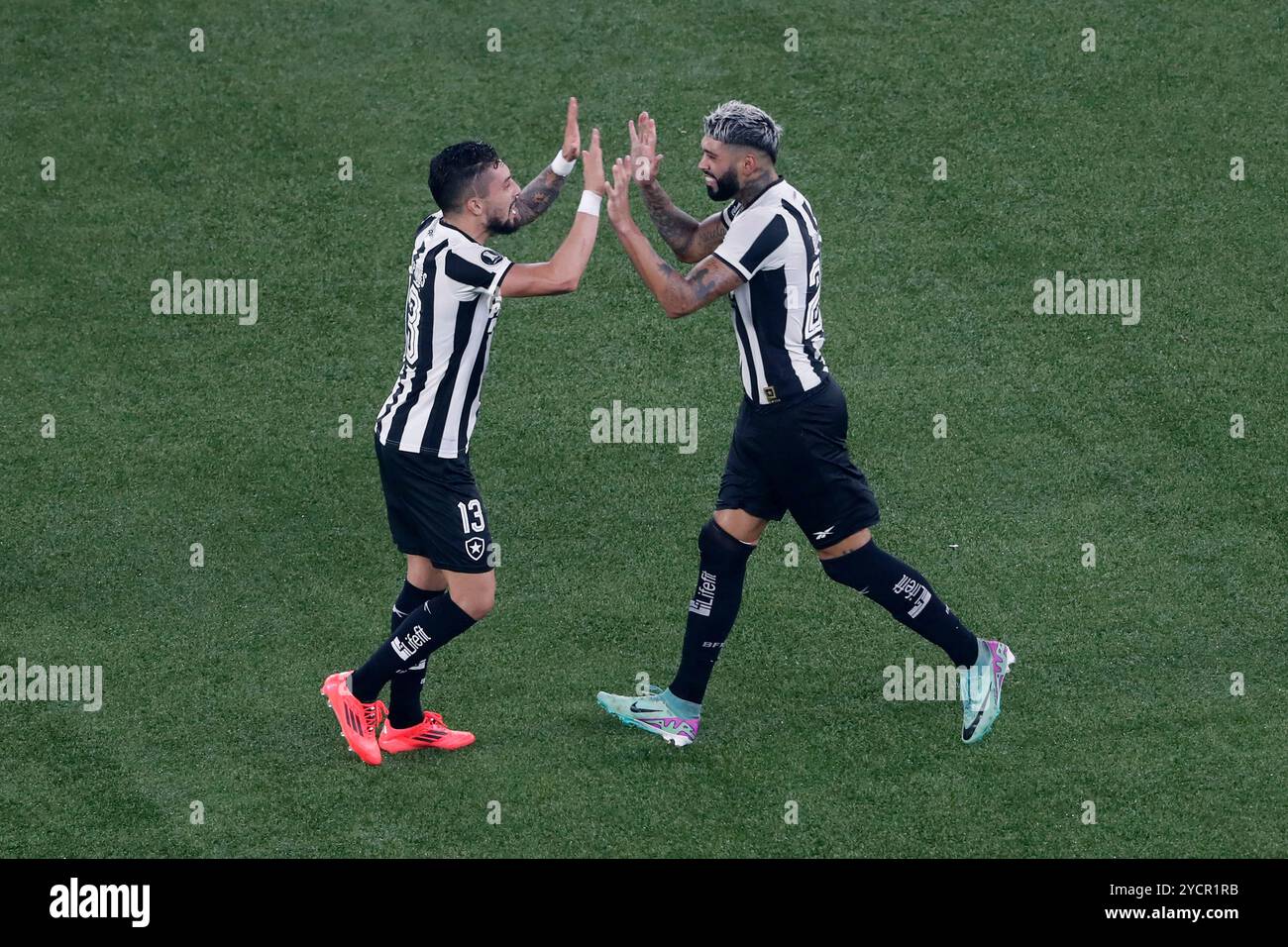 Vivid 🎥 Botafogo Score After 13 Seconds To Take The Lead Against Ldu View in HD Vivid 🎥 Botafogo Score After 13 Seconds To Take The Lead Against Ldu View in HD