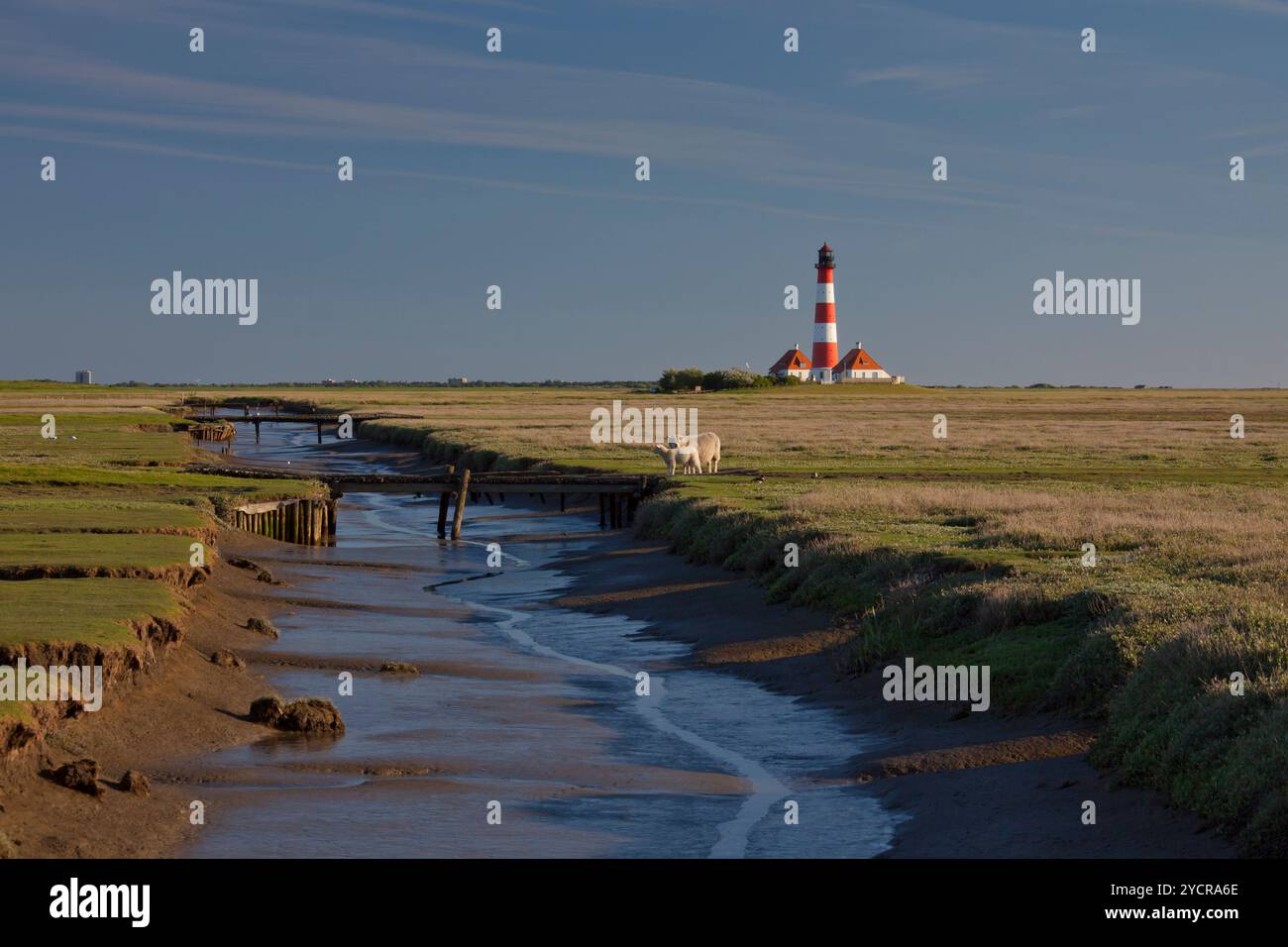 Westerhever lighthouse, with sheep, Westerheversand, Eiderstedt ...