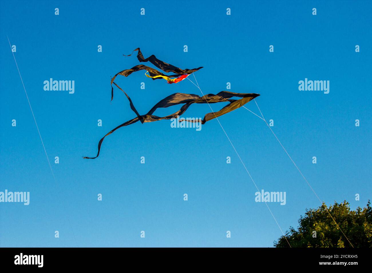 Black kites in the sky Stock Photo - Alamy