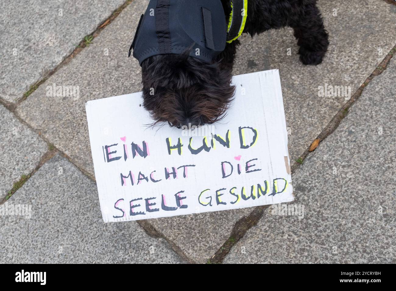 Demonstration zum Internationalen Tag der seelischen Gesundheit unter dem Motto Gemeinsam Hand in Hand zieht durch den Berliner Stateil Prenzlauer Berg. Mit der Woche der seelischen Gesundheit wollen Betroffene auf seelische Erkrankungen und entsprechende Hilfsangebote aufmerksam machen. / Demonstration to mark International Mental Health Day under the motto Together hand in hand marches through Berlin s Prenzlauer Berg district. During Mental Health Week, those affected want to draw attention to mental illnesses and the corresponding support services. Demonstration zum Tag der seelischen Gesu Stock Photo