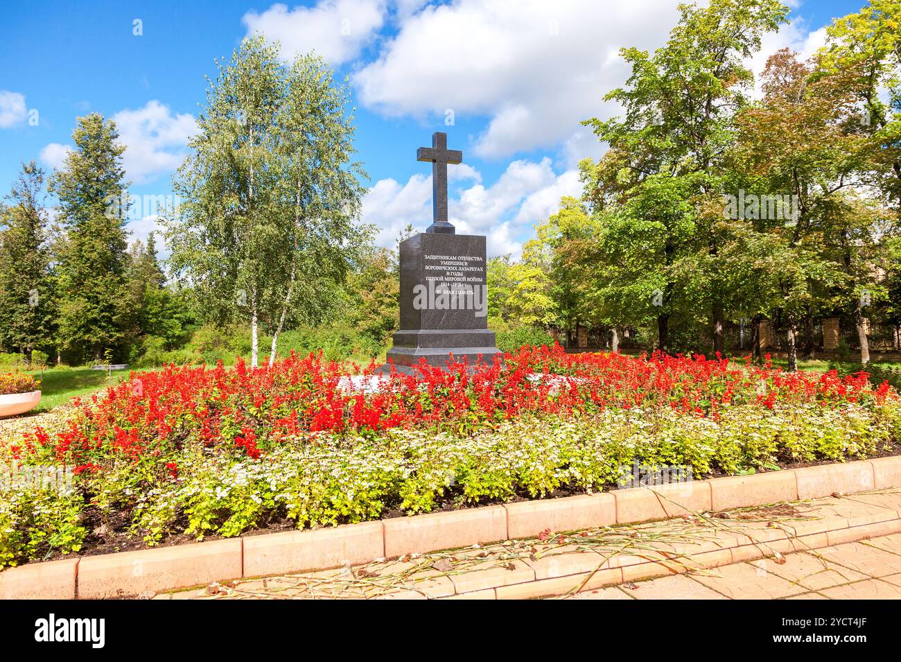 First world war soldiers and flowers hi-res stock photography and ...