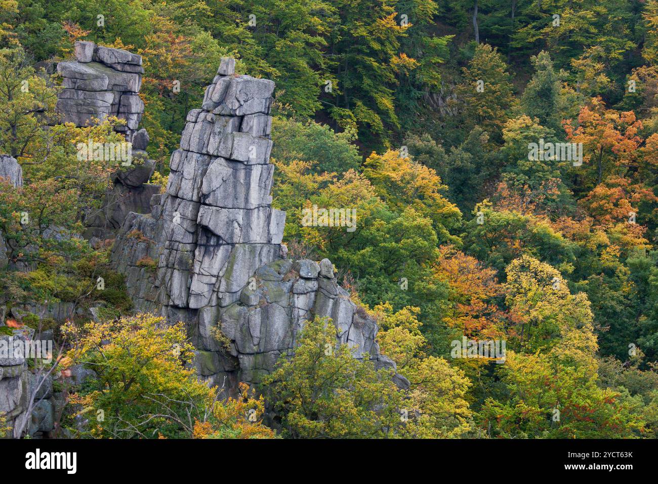 View into the Bode Valley, rock formations, Bode Valley nature reserve