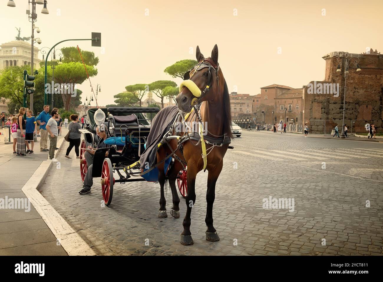 Roman horse and cart hi-res stock photography and images - Alamy