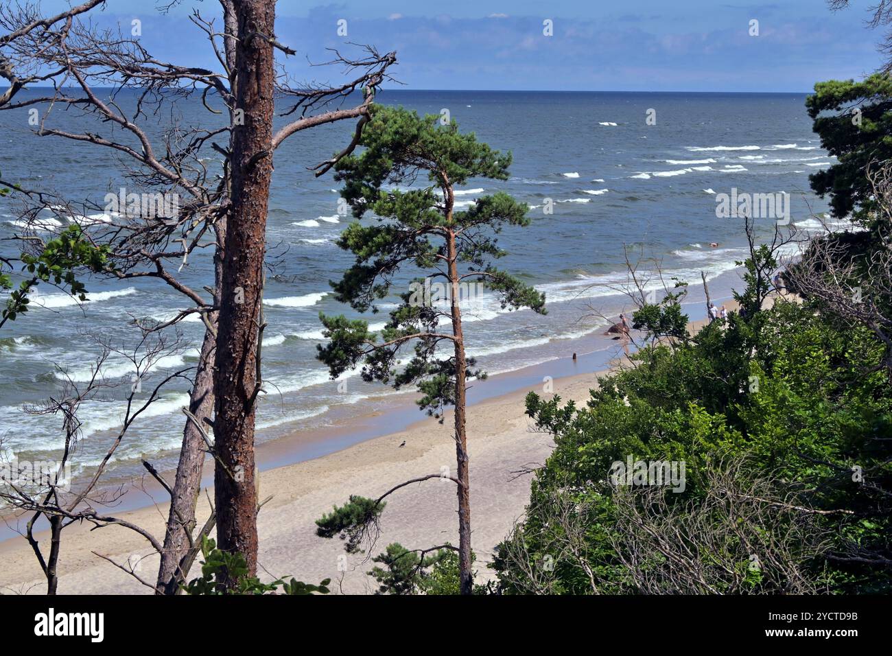 Beach at Wolinski National Park, Baltic coast, Poland Stock Photo