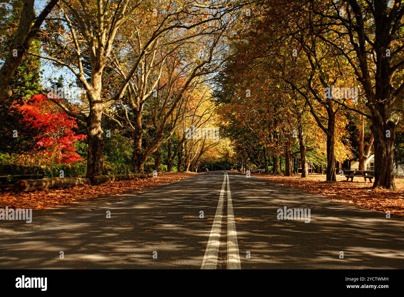 Season vision hi-res stock photography and images - Alamy