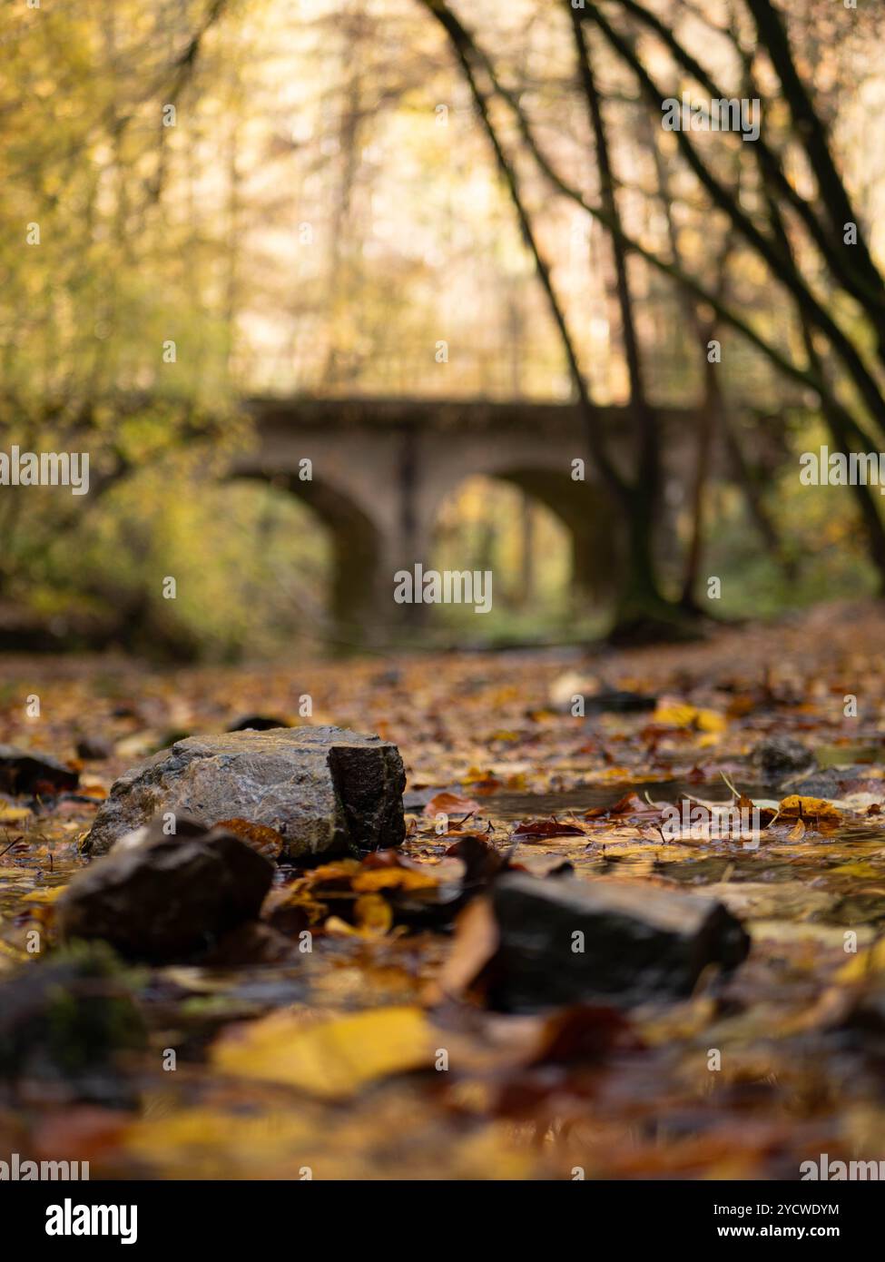 Closeup railway bridge scenery hi-res stock photography and images - Alamy