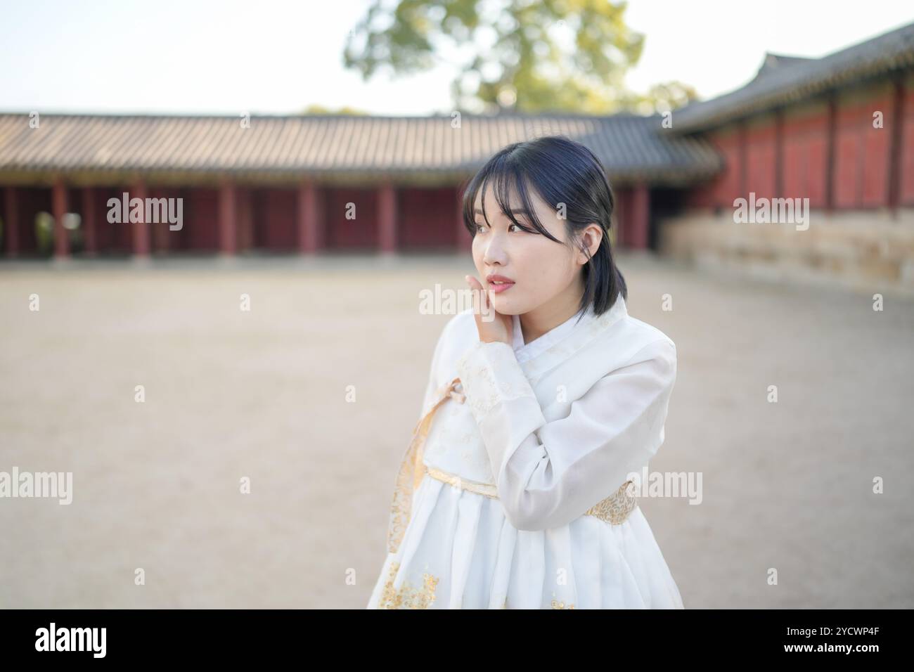 A Korean couple, a man in his 30s and a woman in her 20s, walks harmoniously through a historical building in Seoul, South Korea, wearing Hanbok. Stock Photo