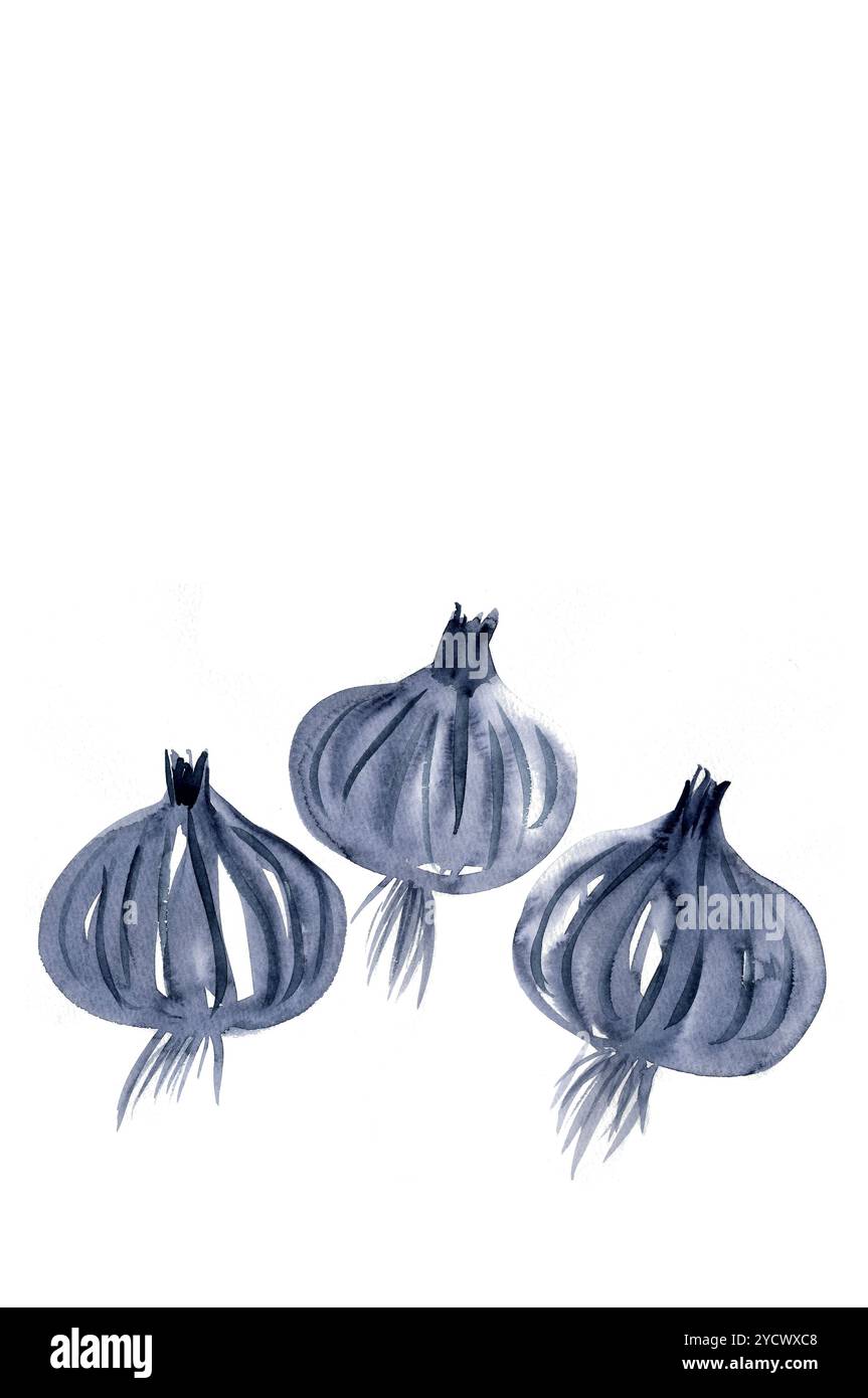 Onion painting hi-res stock photography and images - Alamy