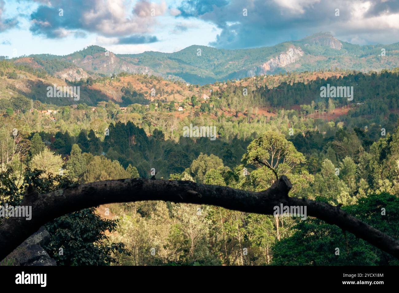 Magamba Usambara mountains nature hi-res stock photography and images - Alamy