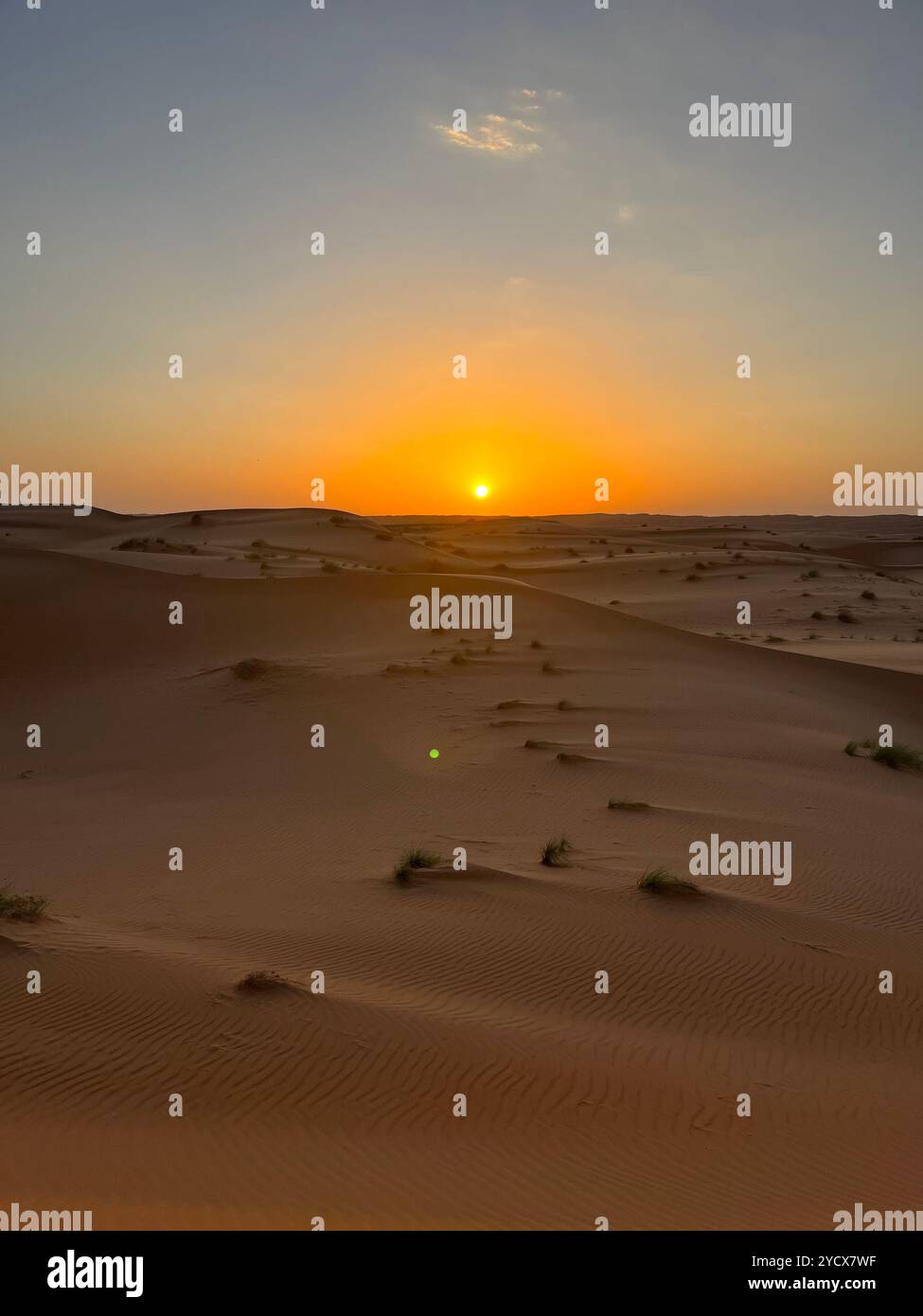 Sunset over Oman's golden desert dunes, where fiery skies meet endless sands. A serene moment in the heart of the Arabian Peninsula. #OmanDesert #Suns - Smartphone Captured Stock Image