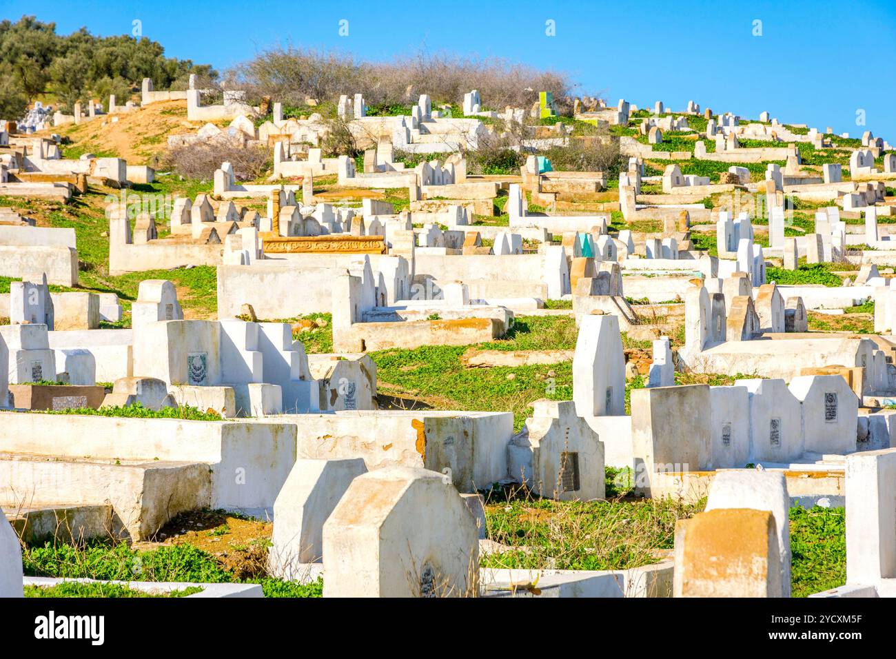 View white historic cemetery hi-res stock photography and images - Alamy