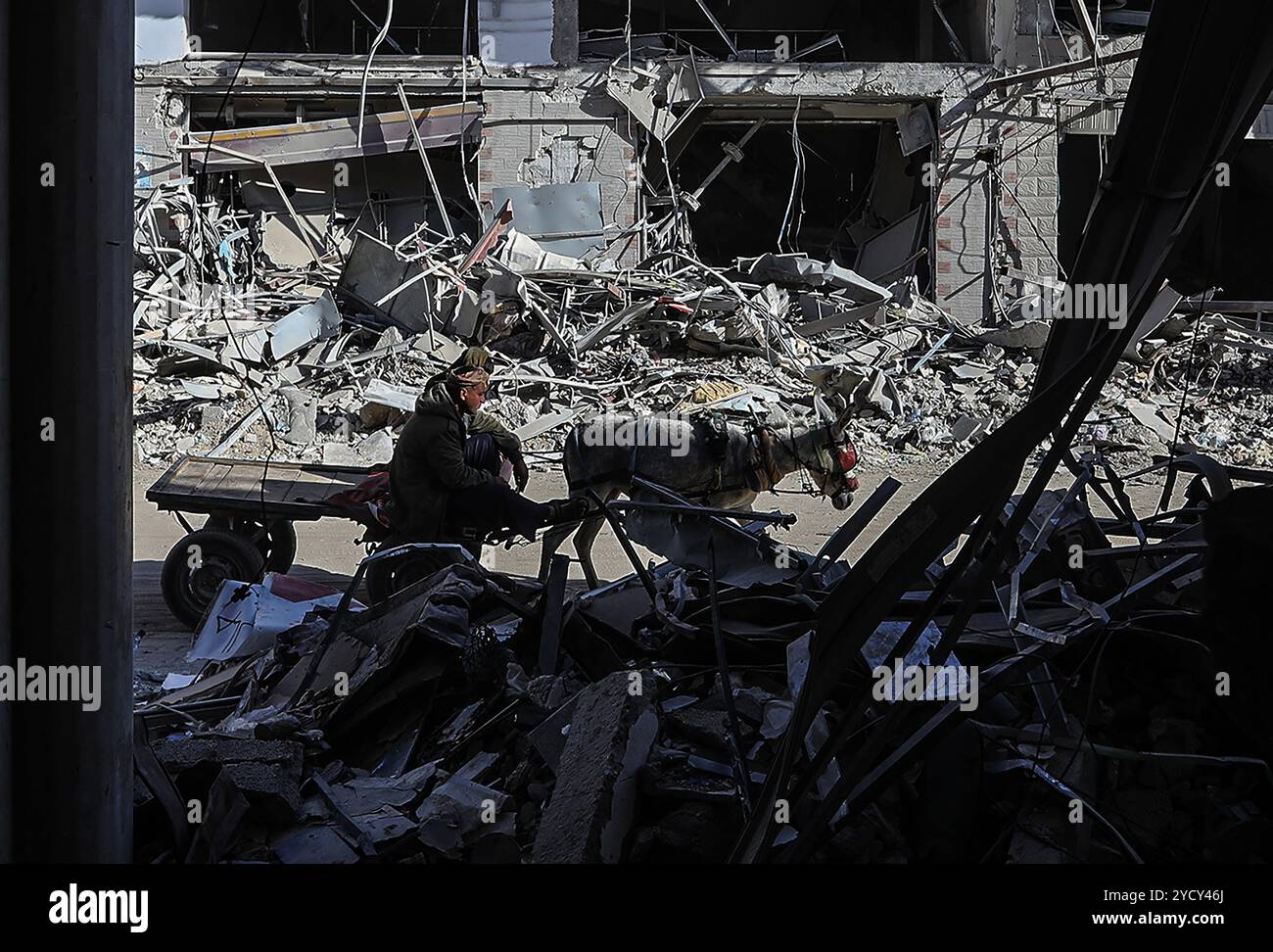 Khan Younis, Gaza. 24th Oct, 2024. Khan Yunis, Gaza, October 24, 2024. Man drives donkey cart through rubble, in Khan Yunis, Gaza on October 24, 2024. The Food and Agriculture Organization of the United Nations (FAO) reports that 733 million people faced hunger globally in 2023, with Gaza enduring its most severe food crisis in history, impacting over 2 million people. Photo by Anas Deeb/UPI Credit: UPI/Alamy Live News Stock Photo