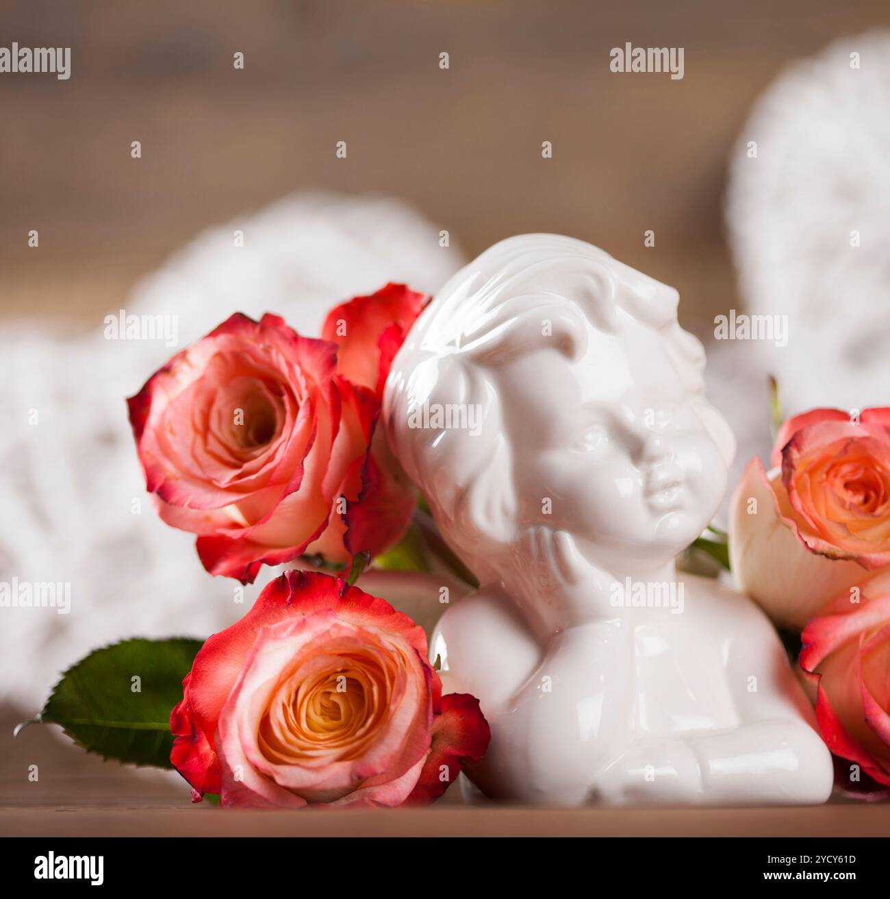 Lovely fresh rose flower hi-res stock photography and images - Alamy