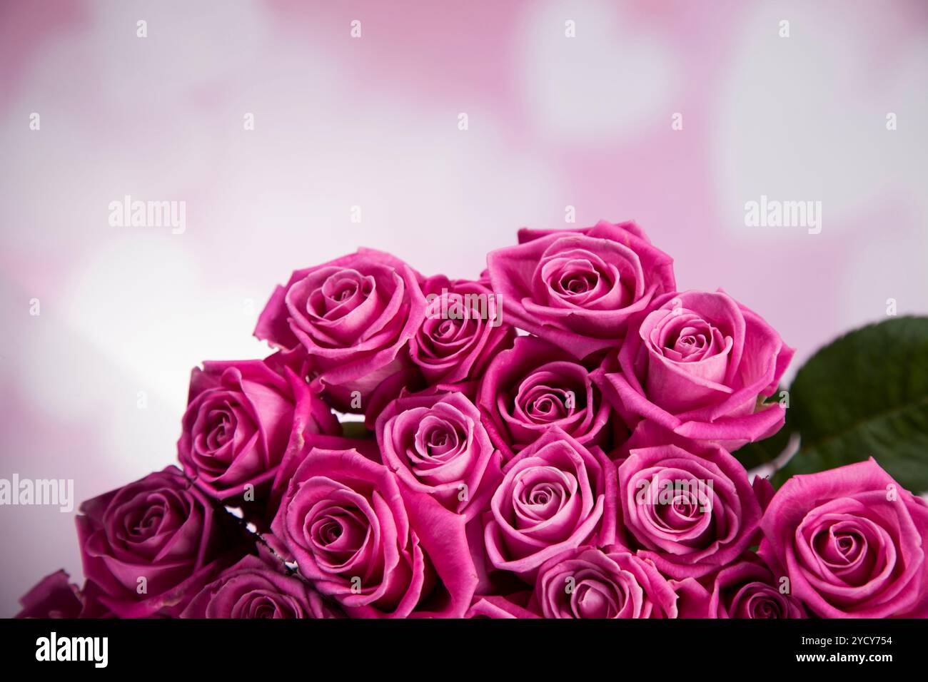 Natural background of fresh roses Stock Photo - Alamy