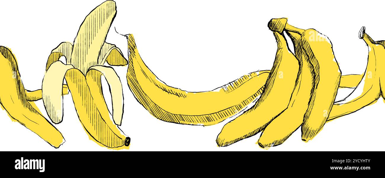 Banana graphic yellow fruit seamless vector border on white background. Vector image. Stock Vector