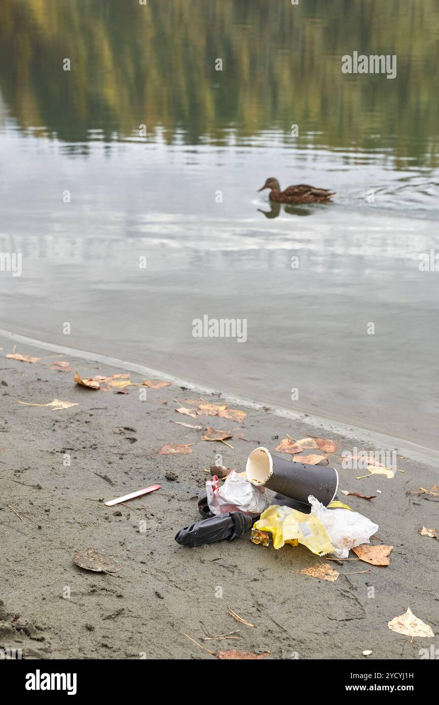 Environmental impact of littering on natural habitats with floating ... - Environmental Effects On Duck Behavior
