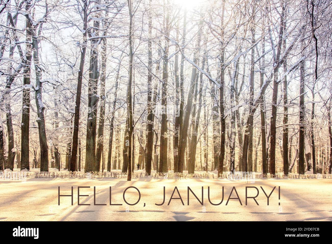 Hello january hi-res stock photography and images - Alamy