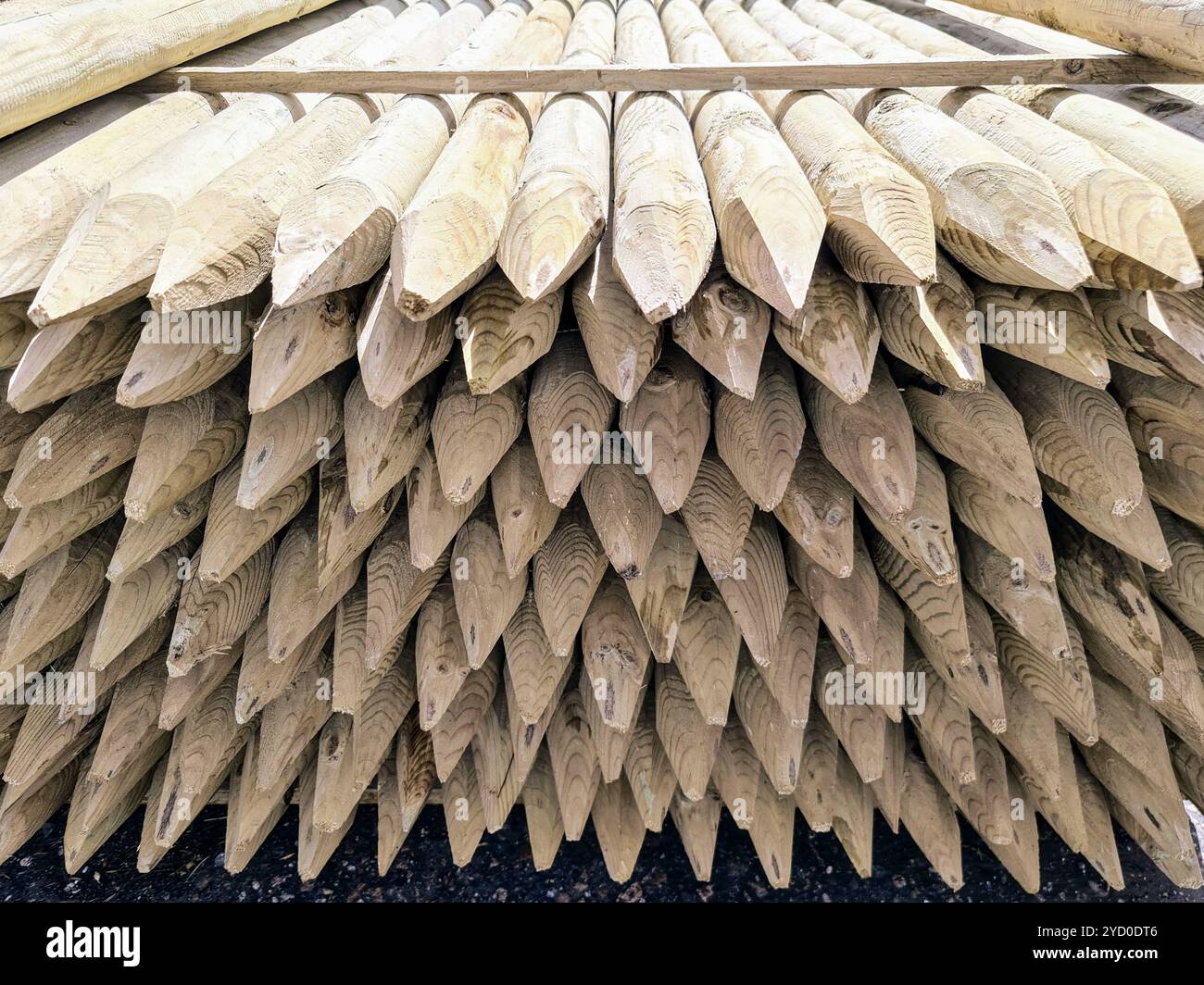 Stacked wooden stakes, ready for a haunted night’s defense, evoke eerie thoughts of warding off mysterious creatures lurking in the shadows - Smartphone Captured Stock Image Stacked wooden stakes, ready for a haunted night’s defense, evoke eerie thoughts of warding off mysterious creatures lurking in the shadows - Smartphone Captured Stock Image