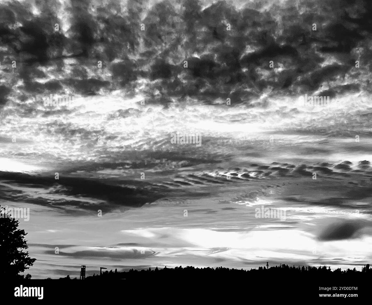 Dramatic clouds cover the sky, creating a haunting, almost supernatural scene ideal for Halloween - Smartphone Captured Stock Image