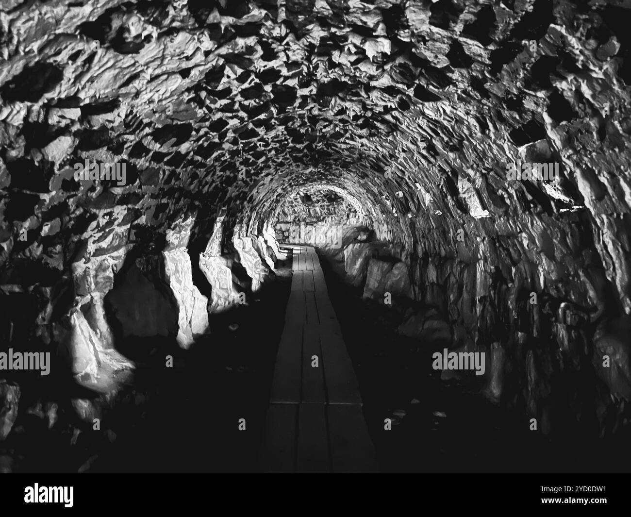 A dark and eerie tunnel of rugged stone, leading to an unknown destination, casting ominous shadows. - Smartphone Captured Stock Image