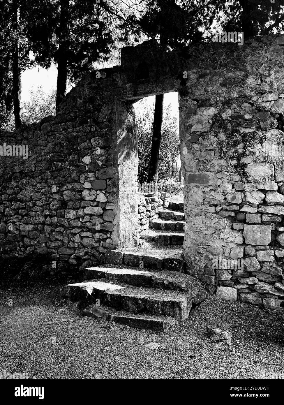 A stone archway leading to shadowy stairs framed by trees creates a haunting passageway perfect for a Halloween scene - Smartphone Captured Stock Image