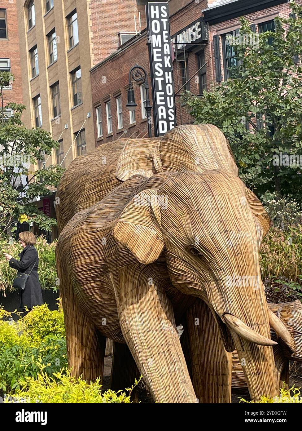 The great elephant migration public art display features elephants made from invasive weeds to highlight conservation projects, 2024, NYC, USA - Smartphone Captured Stock Image