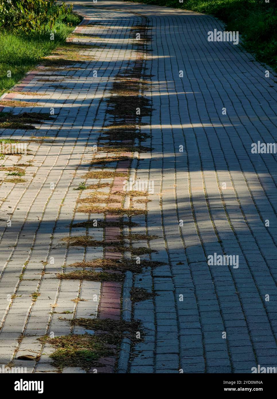Endless Shadows: Light and Texture Patterns on Pavement Floor Stock Photo