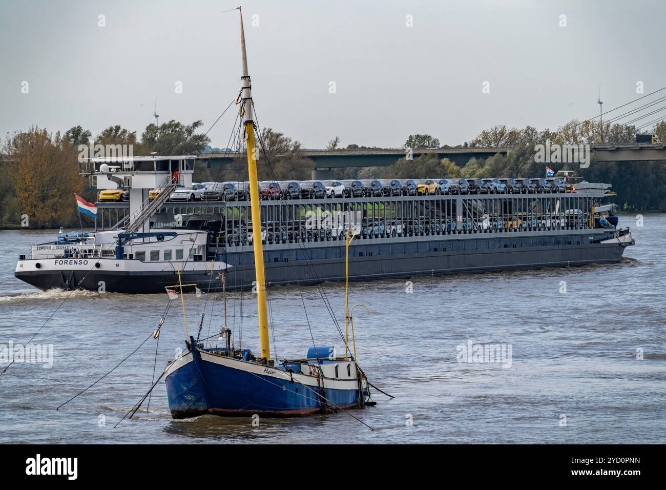 Car transporter Freighter Forenso, on the Rhine near Rees, brings Ford Explorer E-cars, from the Cologne Ford plant to the seaports of the Netherlands Stock Photo