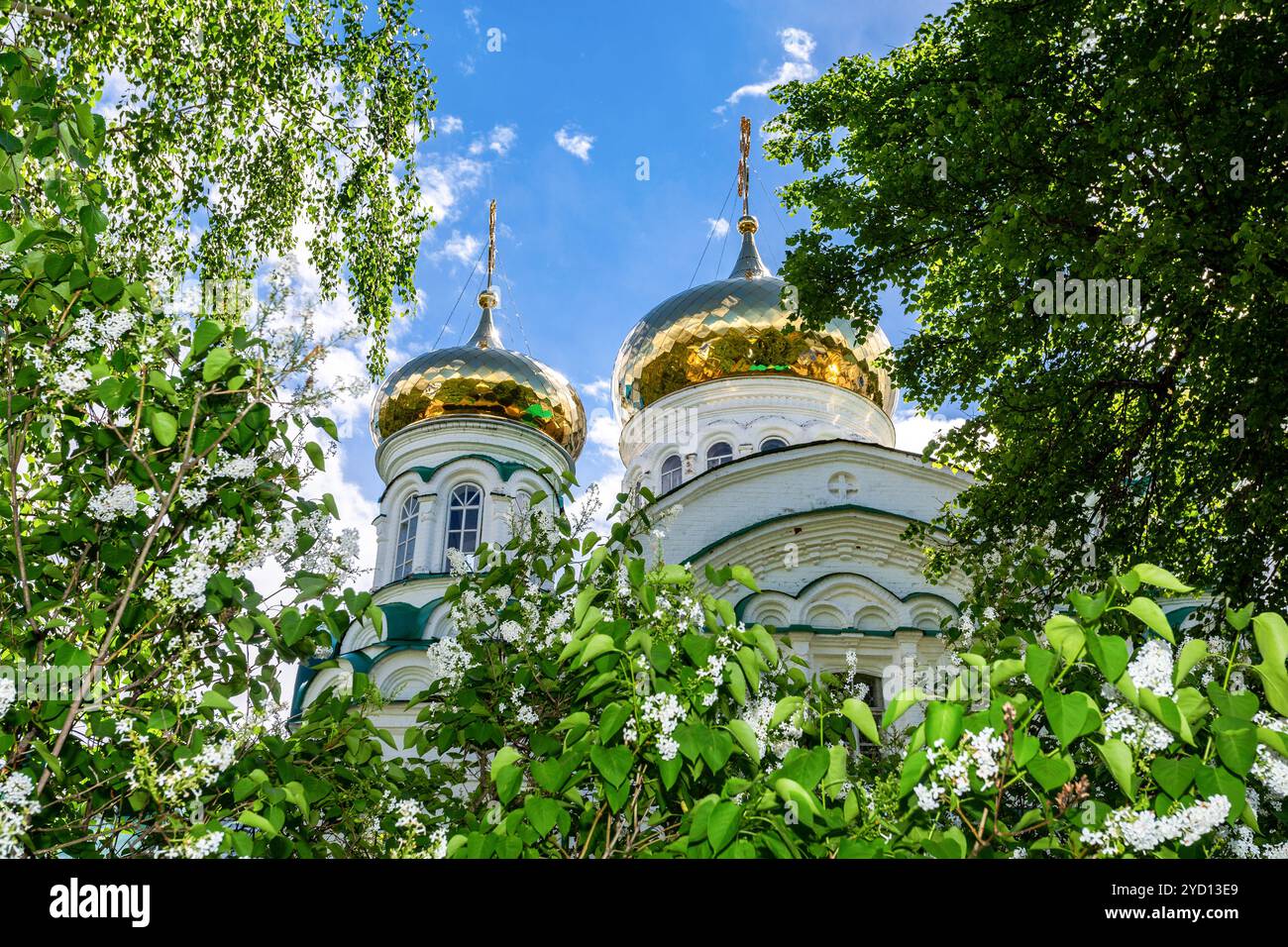 Golden Holy Trinity Golden domes of the Holy Trinity Cathedral Stock Photo - Alamy